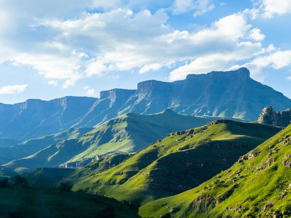 South Africa, wine, whales & safari self drive vacation