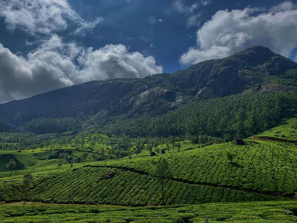 Classic Kerala holiday