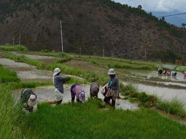 Bhutan cultural vacation