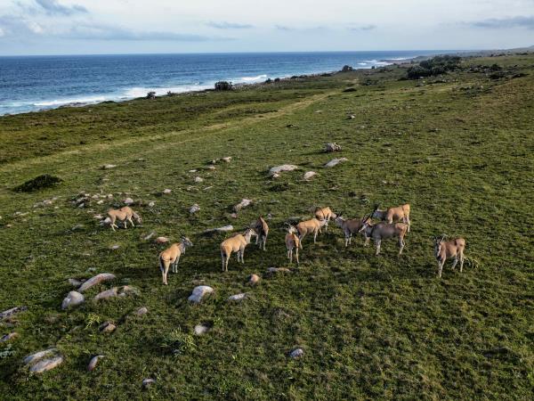 South Africa nature and activity vacation