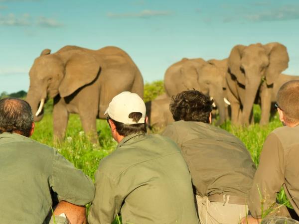 Professional field guide course, Southern Africa