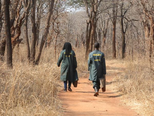 Zambia elephant conservation vacation