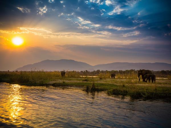 Zambia elephant conservation vacation