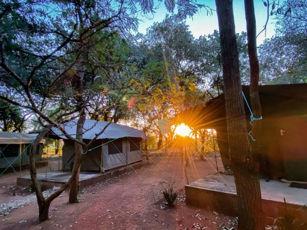 Zambia elephant conservation vacation