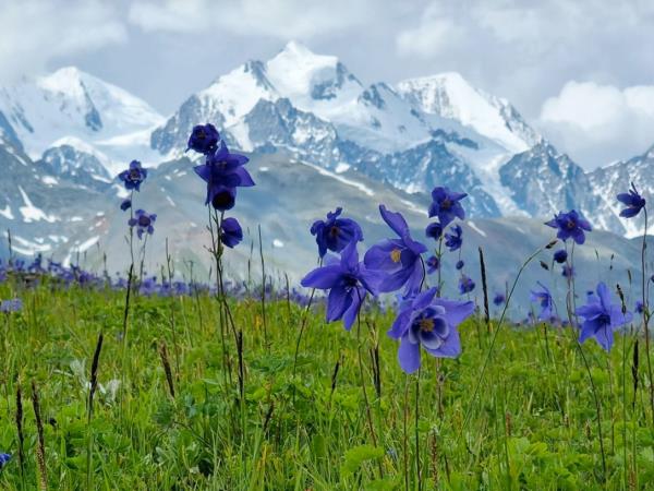 Horseback riding holiday in Kazakhstan 