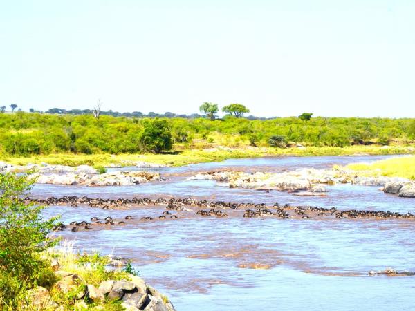Tanzania Great Migration and Serengeti Safari vacation