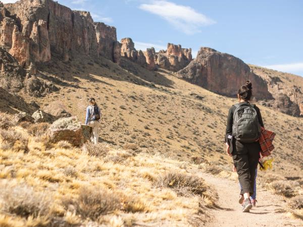 Wild puma tracking holiday in Patagonia