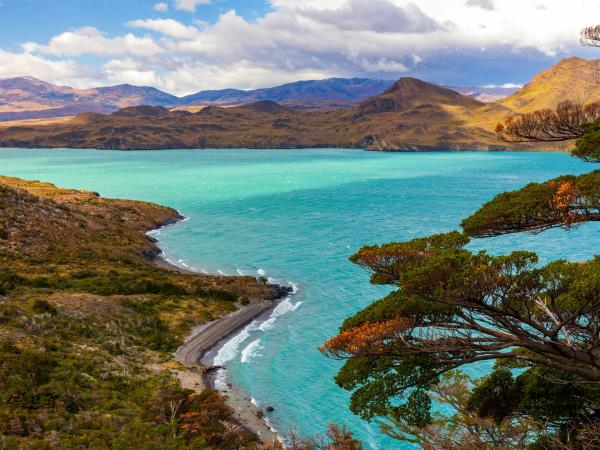 Wild puma tracking holiday in Patagonia