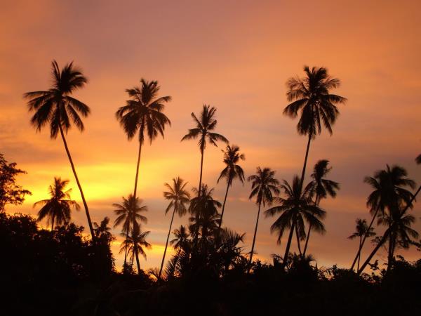 Malaysia and Borneo honeymoon