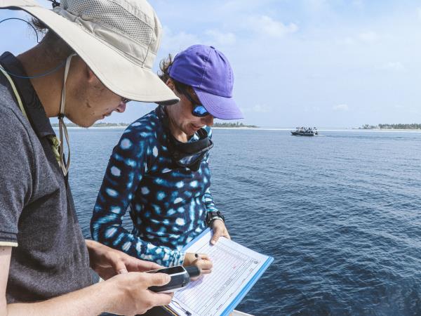 Liveaboard whale shark conservation vacation, Maldives