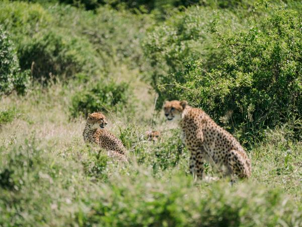 Zululand wildlife conservation vacation in South Africa