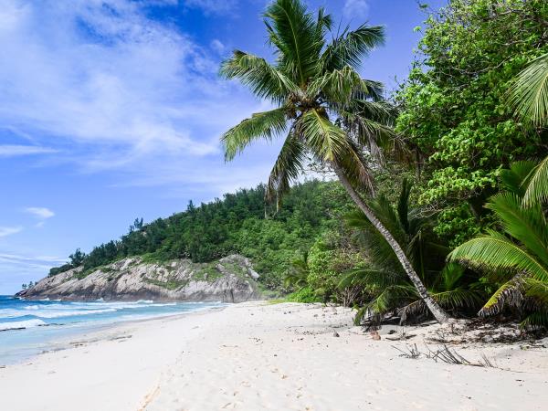 Marine conservation vacation in the Seychelles