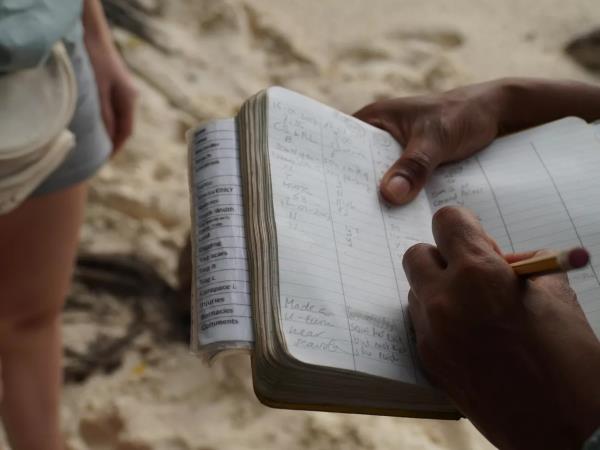 Marine conservation vacation in the Seychelles