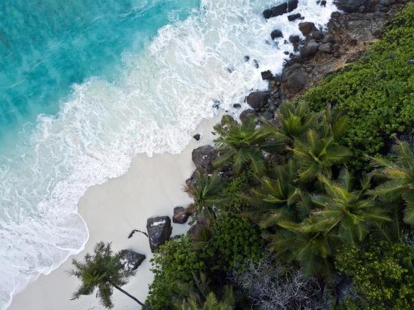 Marine conservation vacation in the Seychelles