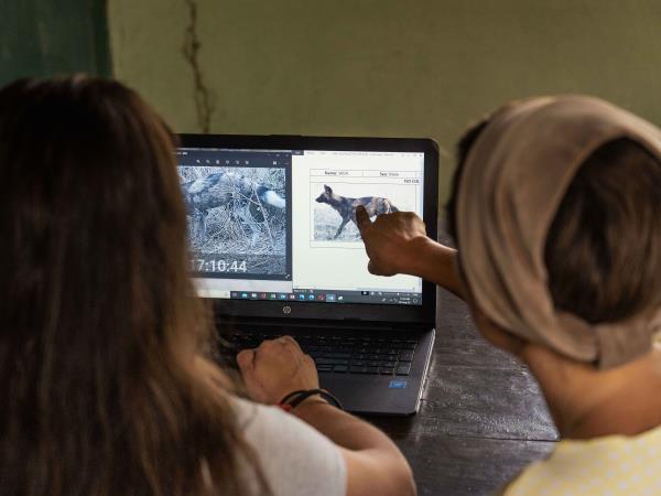 Malawi wildlife conservation vacation