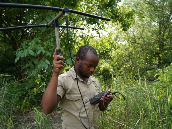 Malawi wildlife conservation vacation