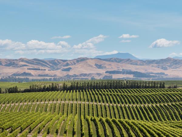 Luxury self drive vacation in New Zealand