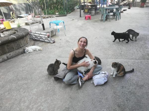 Dog and cat sanctuary volunteering in Portugal