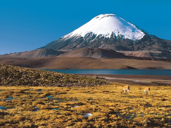 Chile wildlife and wilderness vacation
