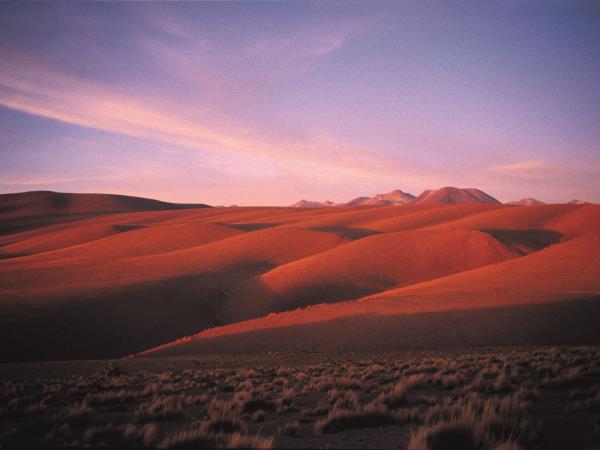 Chile wildlife and wilderness vacation