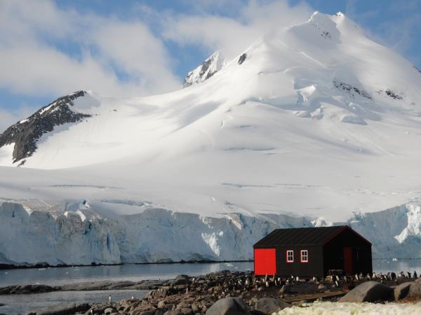 South Georgia, Falklands & Antarctic Peninsula cruise