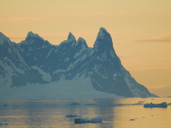 South Georgia, Falklands & Antarctic Peninsula cruise