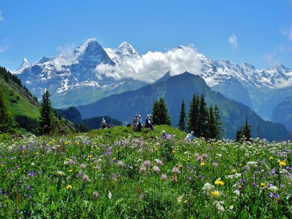 Swiss Alps scenic hiking small group tour