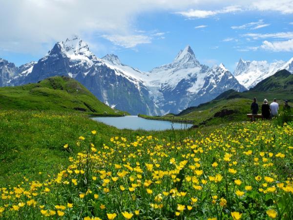 Swiss Alps scenic hiking small group tour