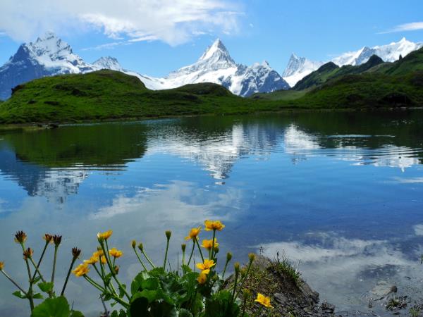 Swiss Alps scenic hiking small group tour