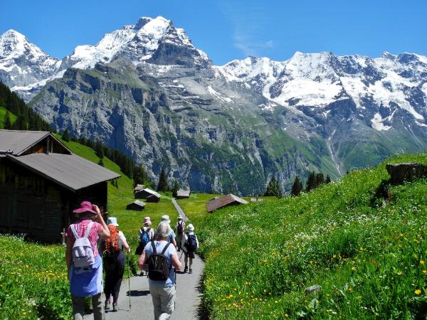 Swiss Alps scenic hiking small group tour