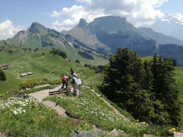 Swiss Alps scenic hiking small group tour