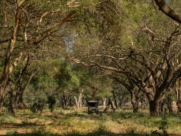 Ruaha small group tour in Tanzania