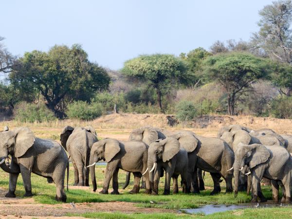 Ruaha small group tour in Tanzania