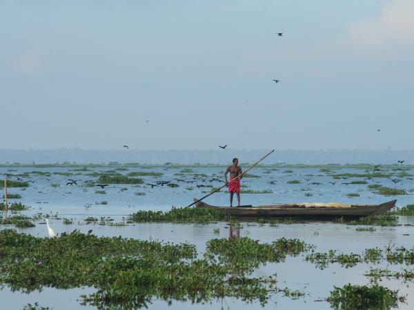 Tailor made houseboat cruise in Kerala, India