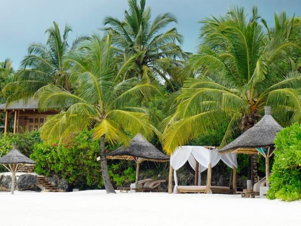 Zanzibar beach vacation