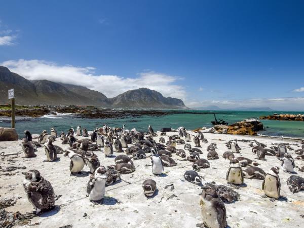 Garden Route tour from Cape Town