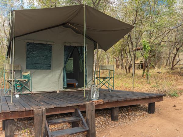 Wildlife monitoring vacation in South Africa
