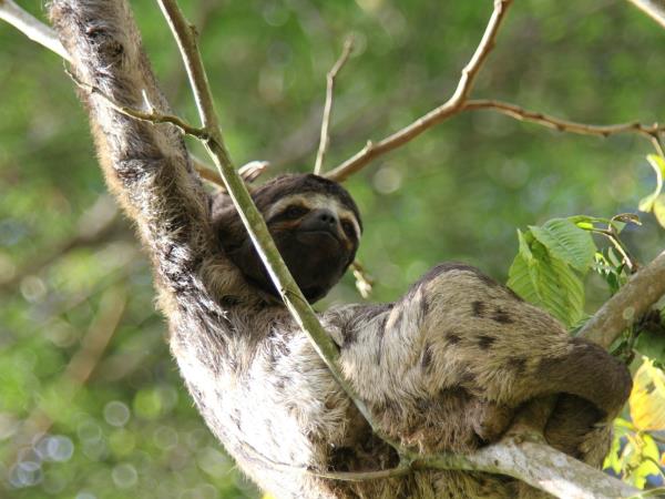 Peru luxury tour, Amazon to the Andes