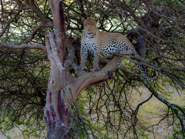 Lake Victoria eco lodge and cultural vacation, Tanzania