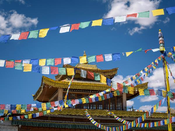 Northern India vacation, tailor made