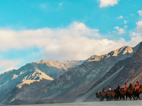 Northern India vacation, tailor made