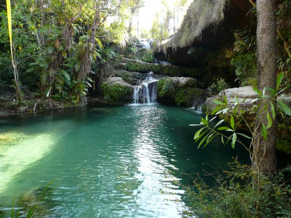 Madagascar wildlife and nature tour