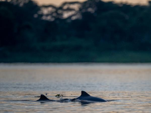 Tailor made vacation in Brazil