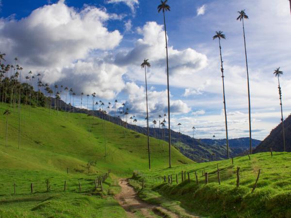 Colombia in-depth vacation, 24 days