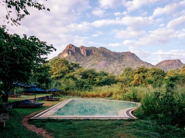 Sri Lanka leopards and wildlife vacation