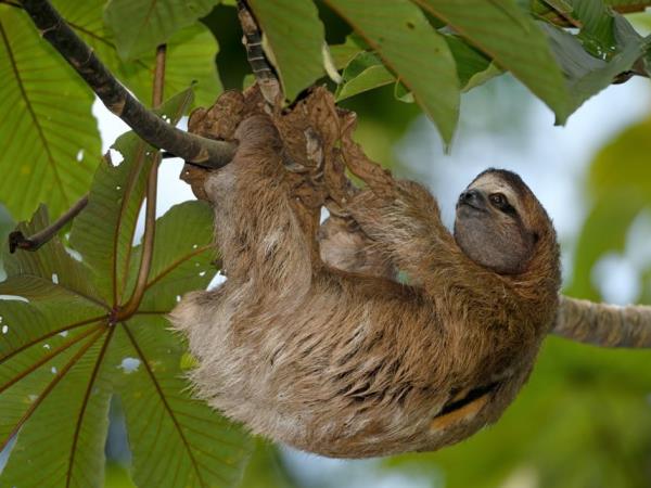 Panama Canal and Costa Rica vacation