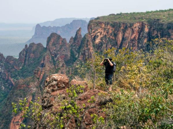 Natural Brazil wildlife vacation, tailor made