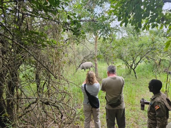 Birds and wildlife of Uganda