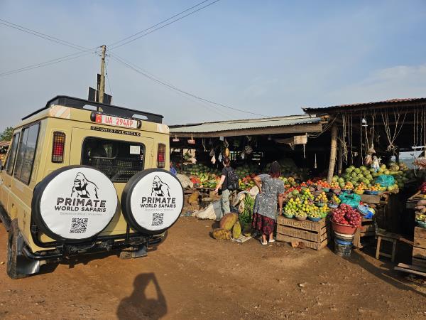 Gorilla and game safari in Uganda 