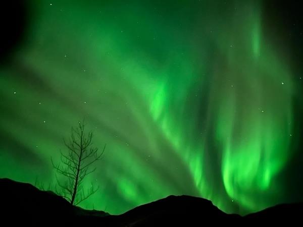 Northern Lights Escapes shell